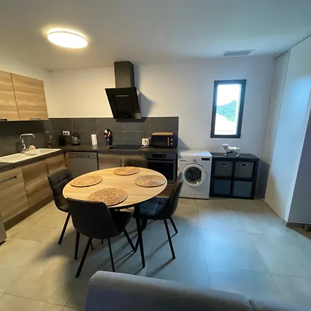 Lekube Apartment Villelongue-dels-Monts